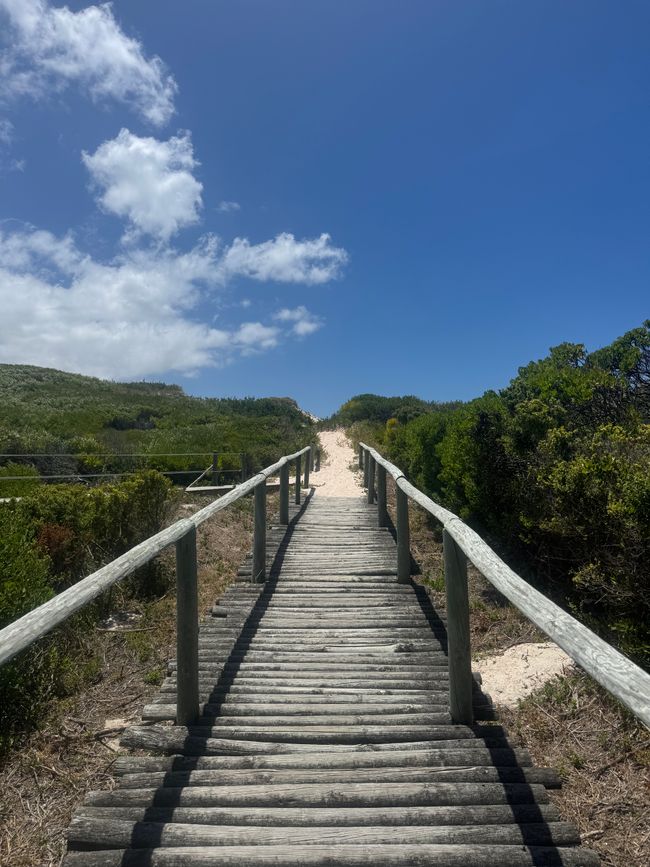 Kap Agulhas/Struisbaai