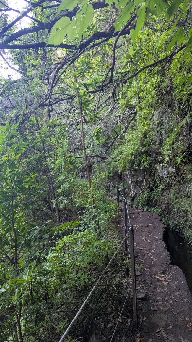 Tag 14: Levada do Caldeirão Verde & Nordküste