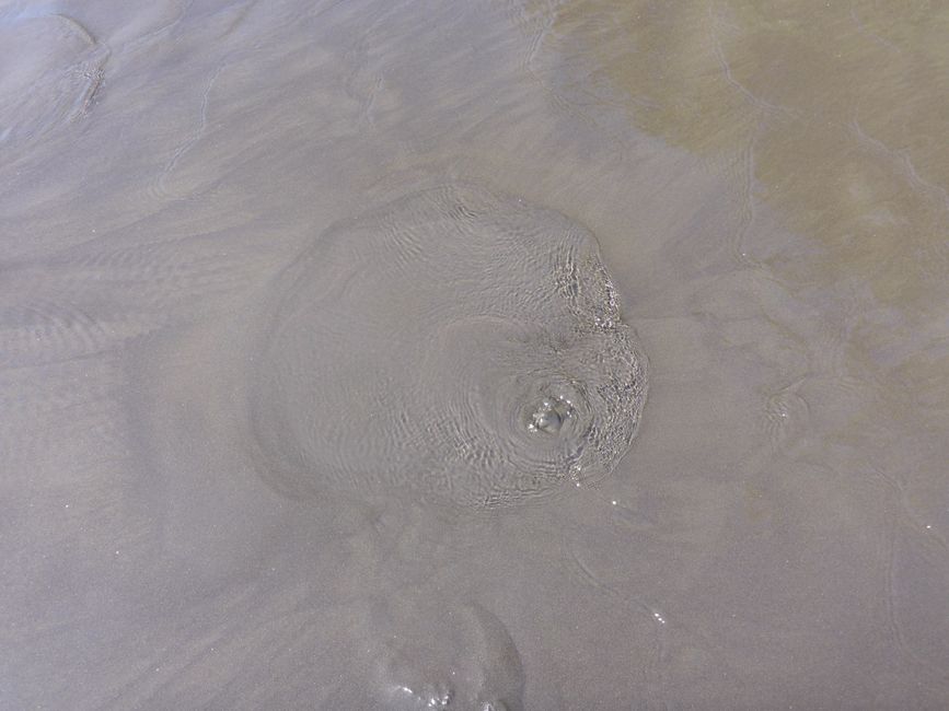 Fonte sulla spiaggia