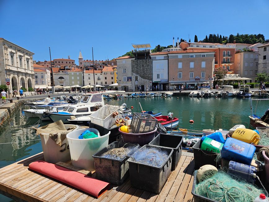 Hafen von Piran mit Fischerbooten