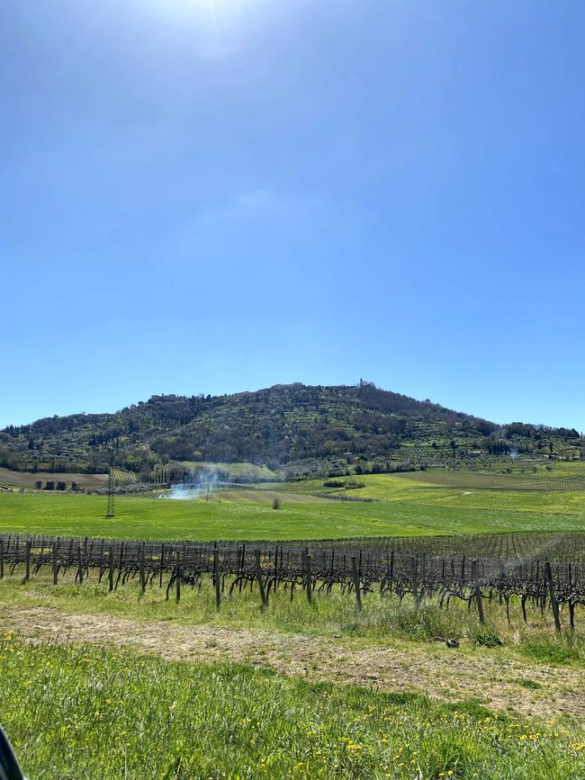 Tuscany Tour - Stop 3: Wine Tasting in Montalcino