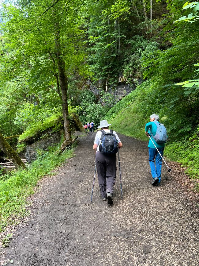 28 Wutachschlucht Pro Wolermoos