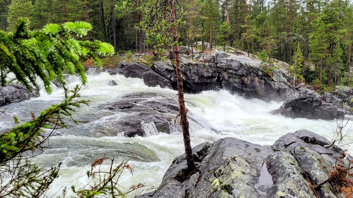 Oslo Gjøvik 9-16 de julio de 2024/10 de julio