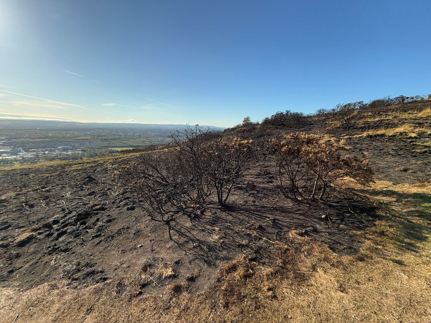 The last "Hello" from Scotland...