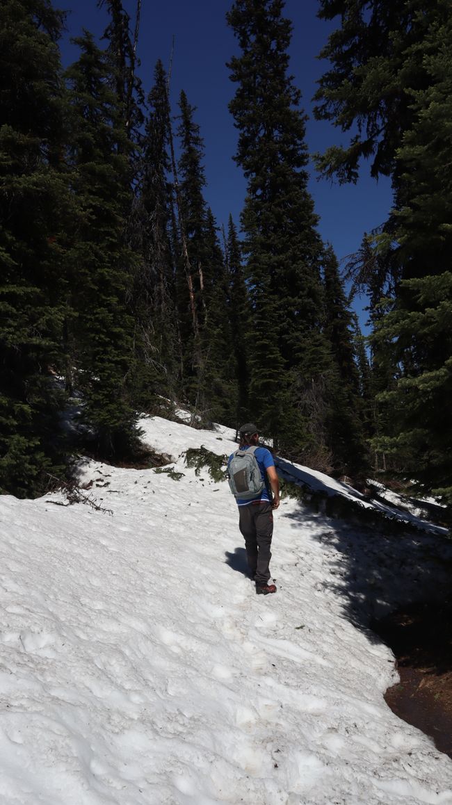 Yoho Lake