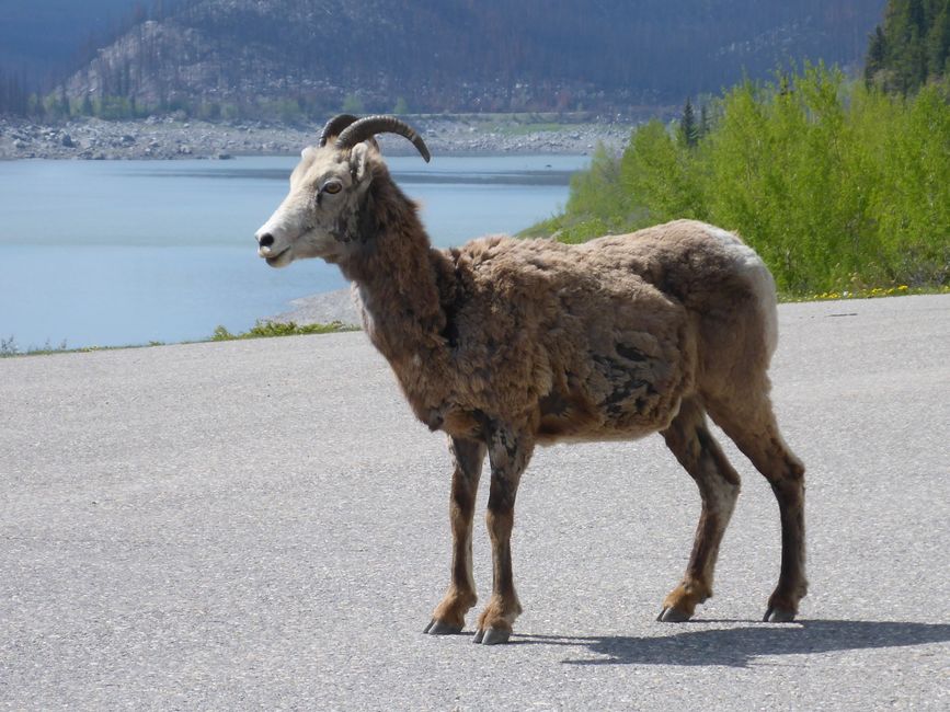 Western Canada