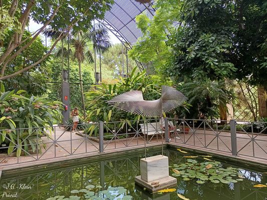 Valencia Stadt und Botanischer Garten