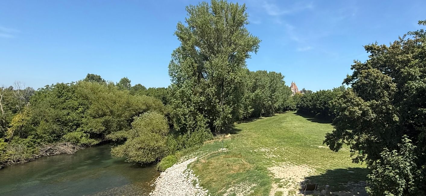 Fischtreppe am Rhein