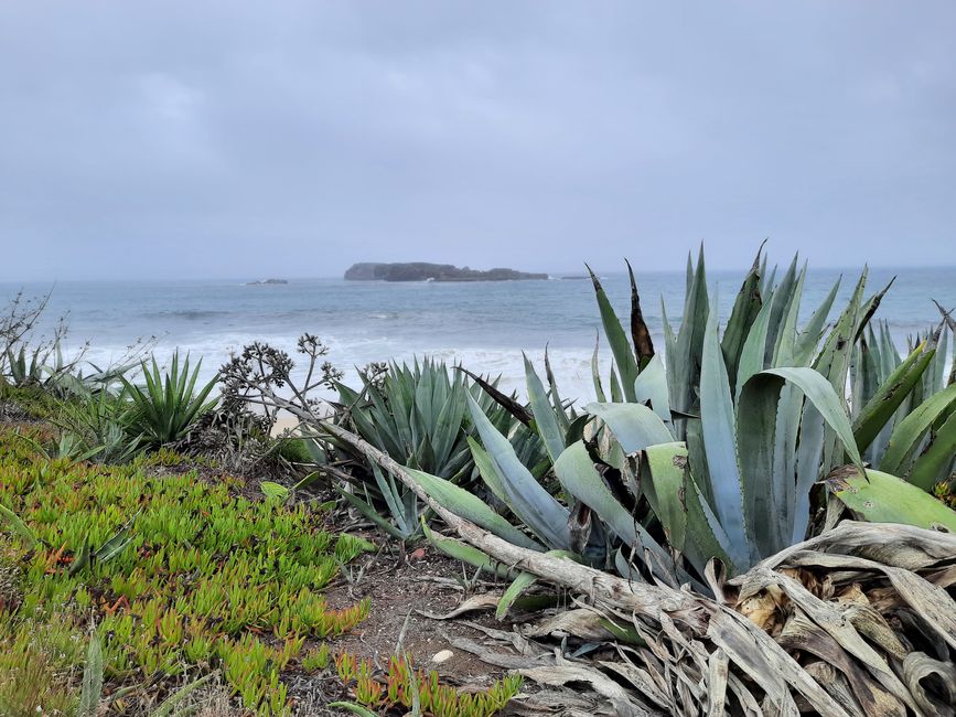 11. Etapa: hacia el viento a muchas pequeñas playas