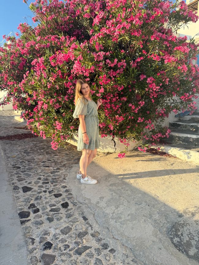 📍Fira, Santorini