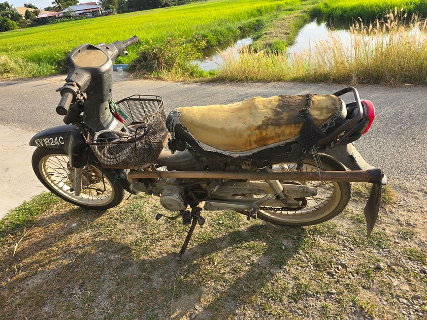 Langkawi - Reif für die Insel!