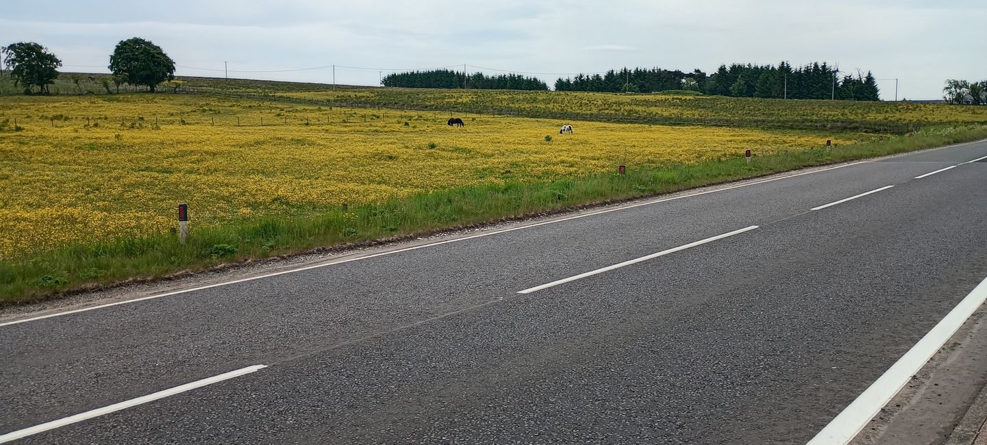 East Ayrshire - che nome fantastico!