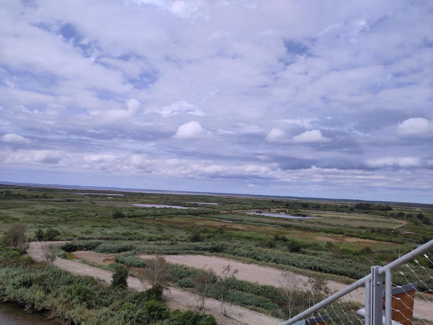Le Teich