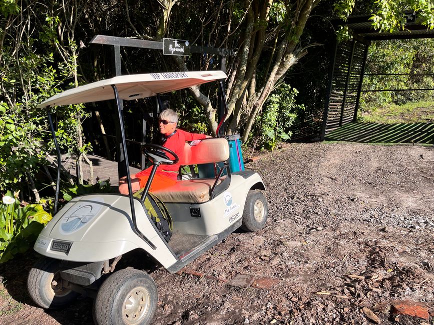 Addo Elephant Park