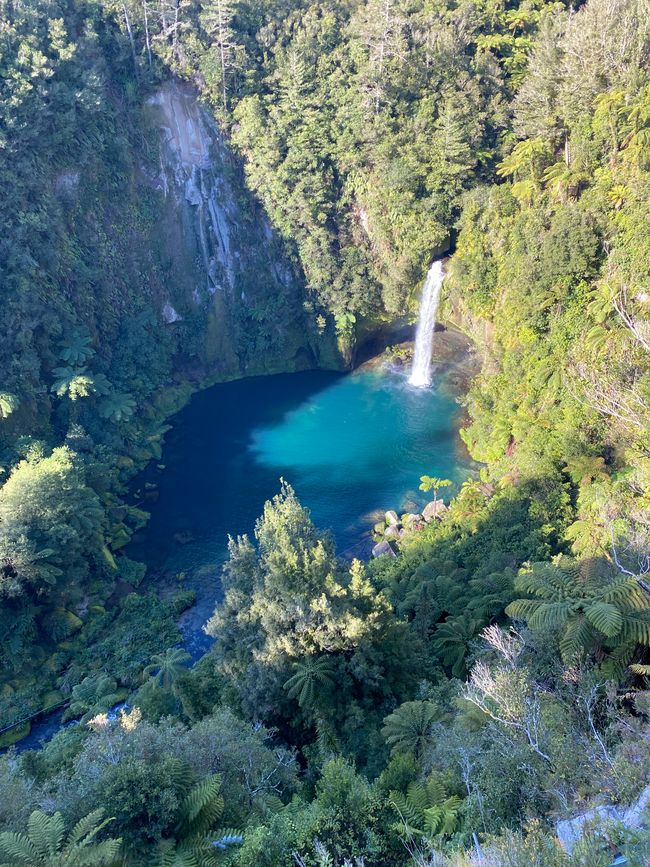 Omanawa Falls & McLarren Falls Glowworm Tour