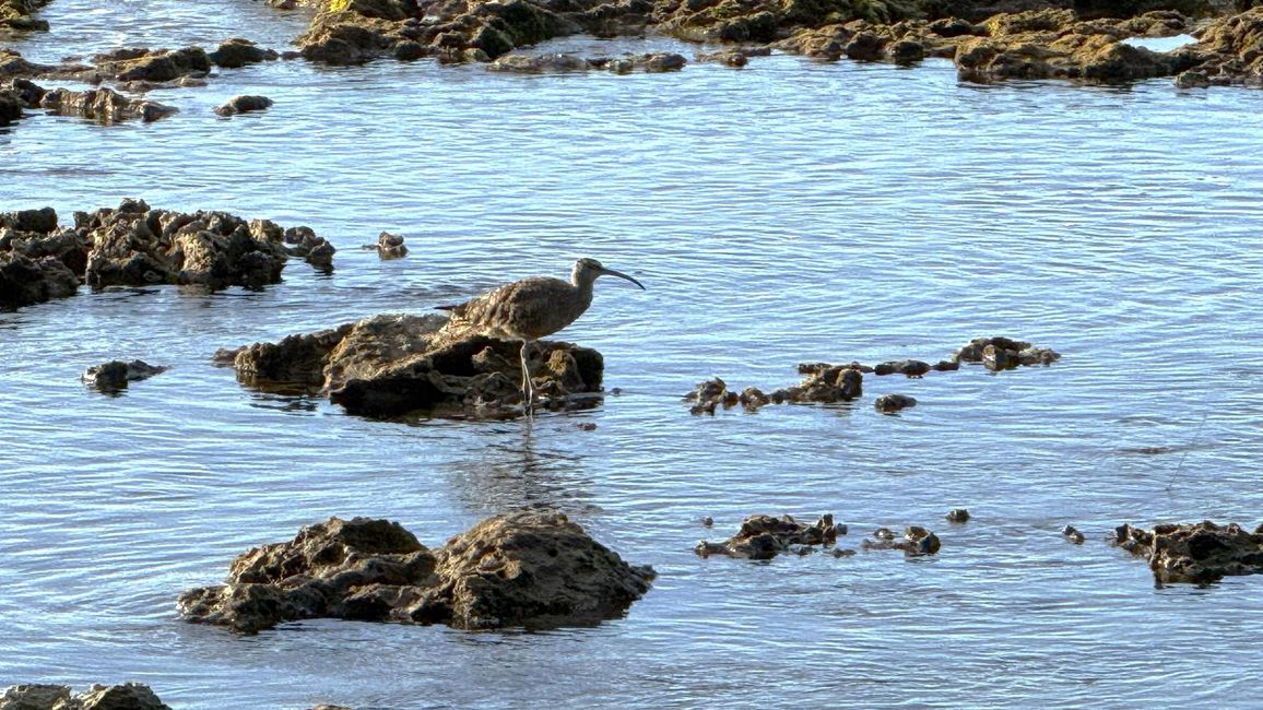 Karibisches Costa Rica