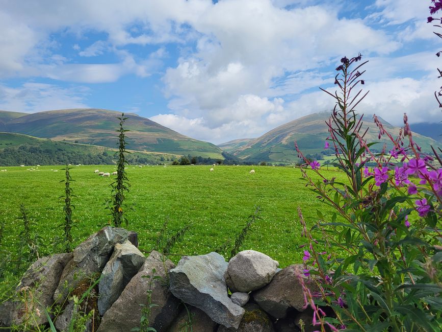 Fahrt zum Steinkreis Castlerigg