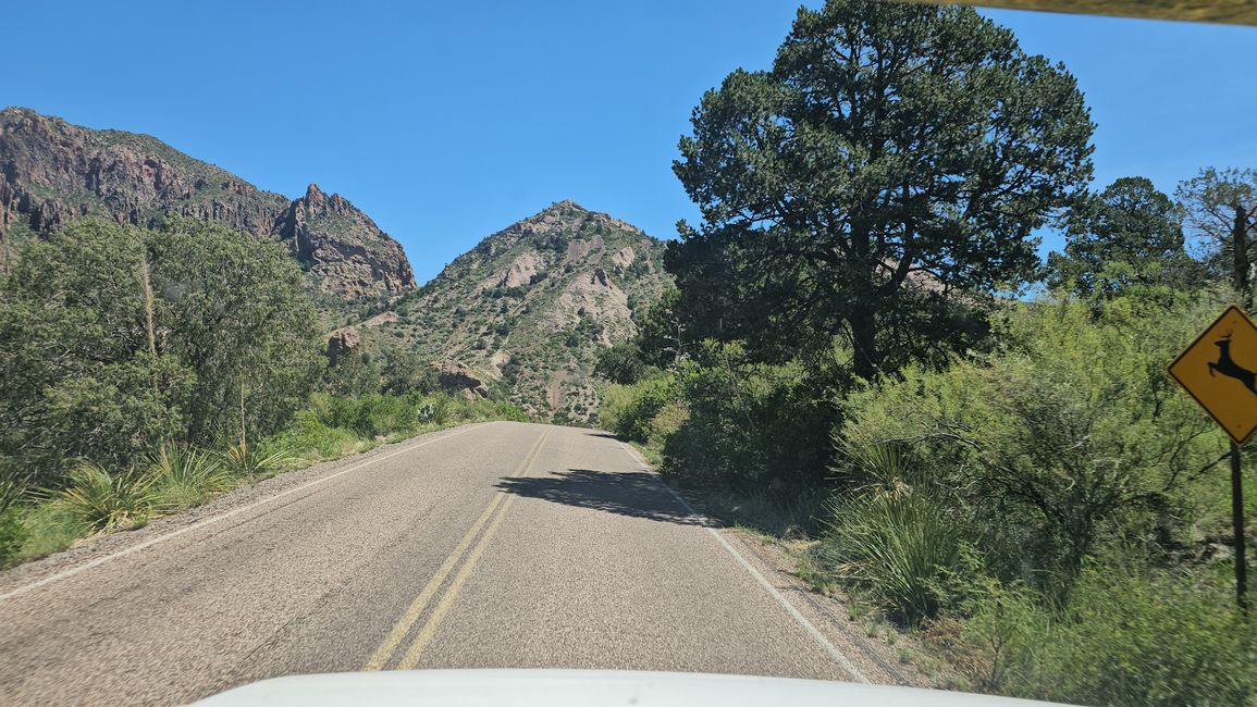Today we drove over 400 miles