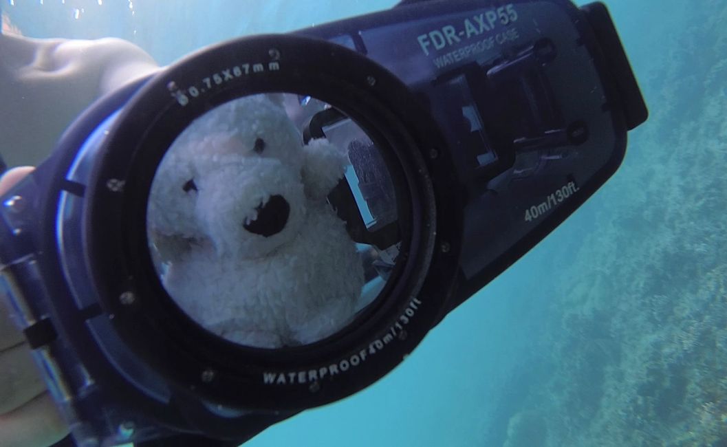 Travis dives in the submarine