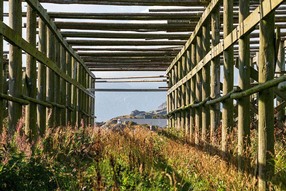 Einmal Lofoten und zurück