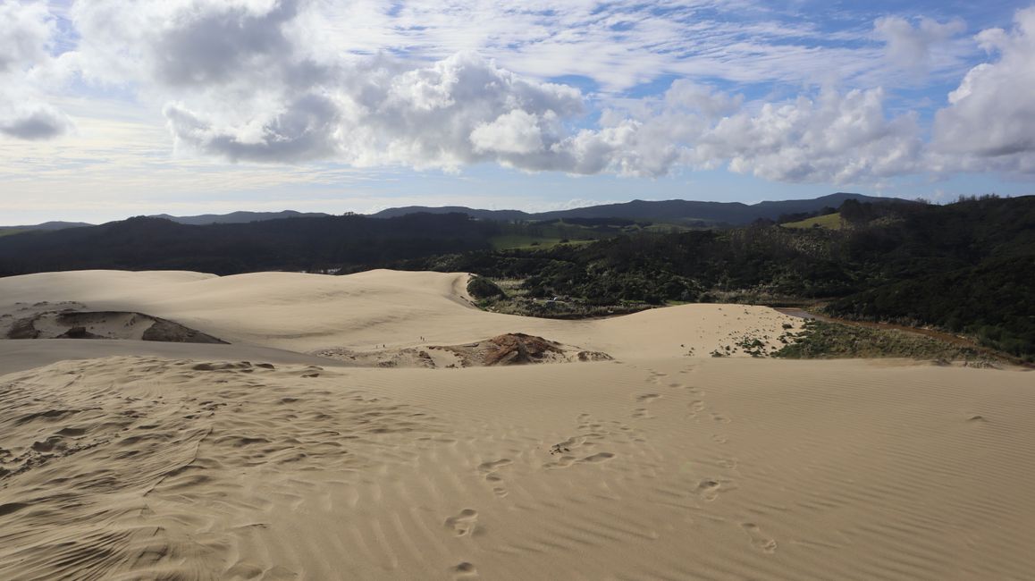 Te Paki Giant Sand Dunes
