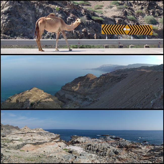 26.11. the coastal road to the north and wadis Suneik