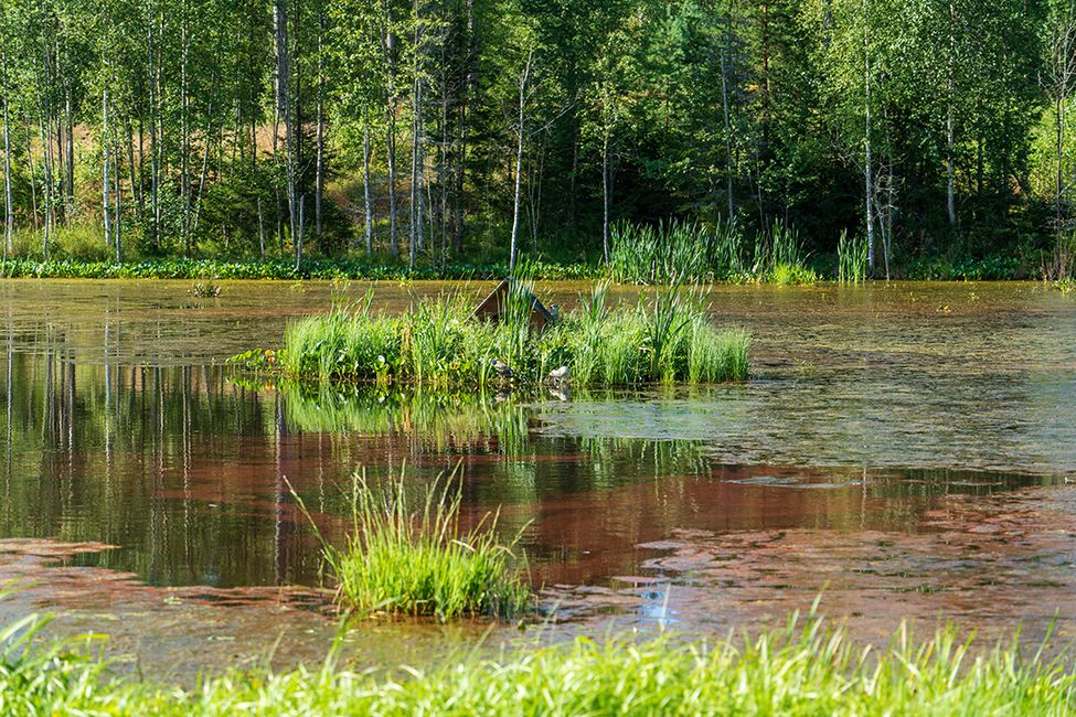 Ein finnisches Willkommen