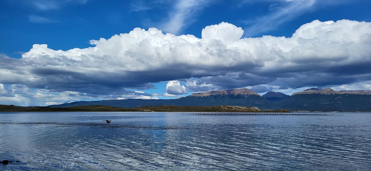 Blick auf Puerto Williams