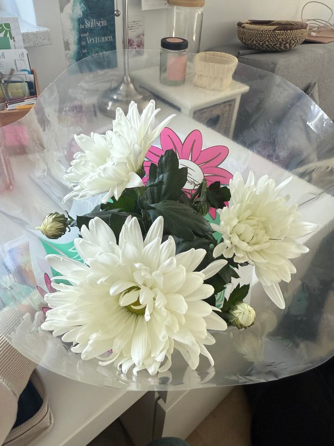 Fiori 💐/ flowers 💐