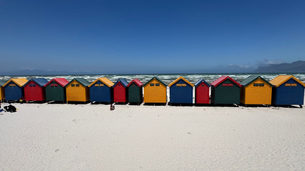 Tour del porto a Città del Capo, Spiaggia di Muizenberg, Spiaggia di Boulders, Capo di Buona Speranza