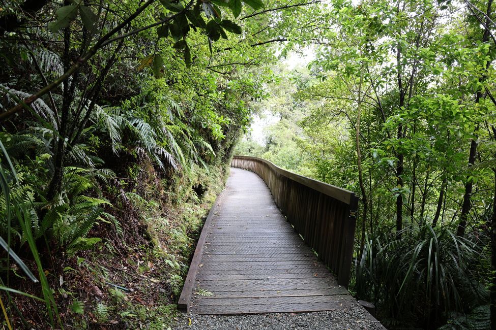 An der West Coast weiter Richtung Süden