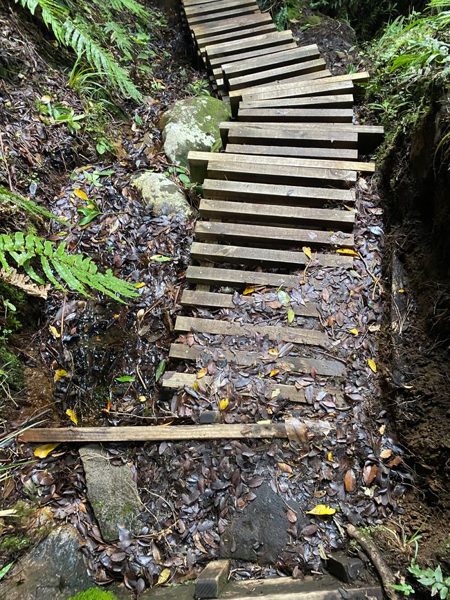 Und die Treppen zurück