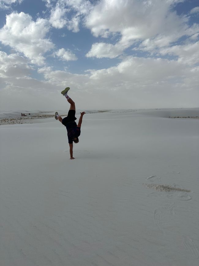 Arizona/ New Mexico/ Petrified Forest/White Sands