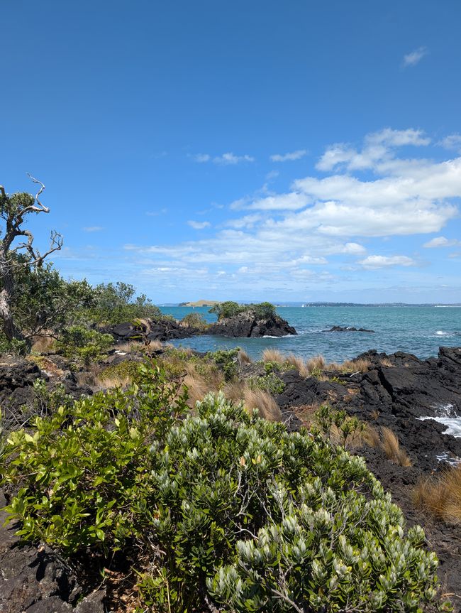 Rangitoto Island - 
Juhu, Achso und AUJA!!!