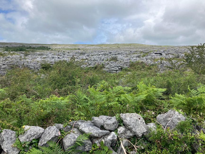 Burren National Park