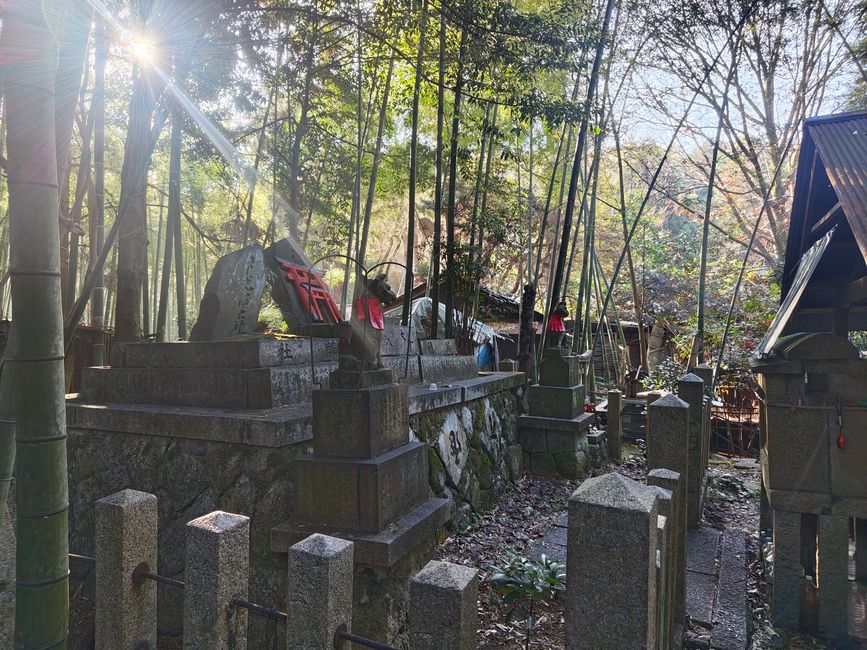 A somewhat hidden shrine off the path...