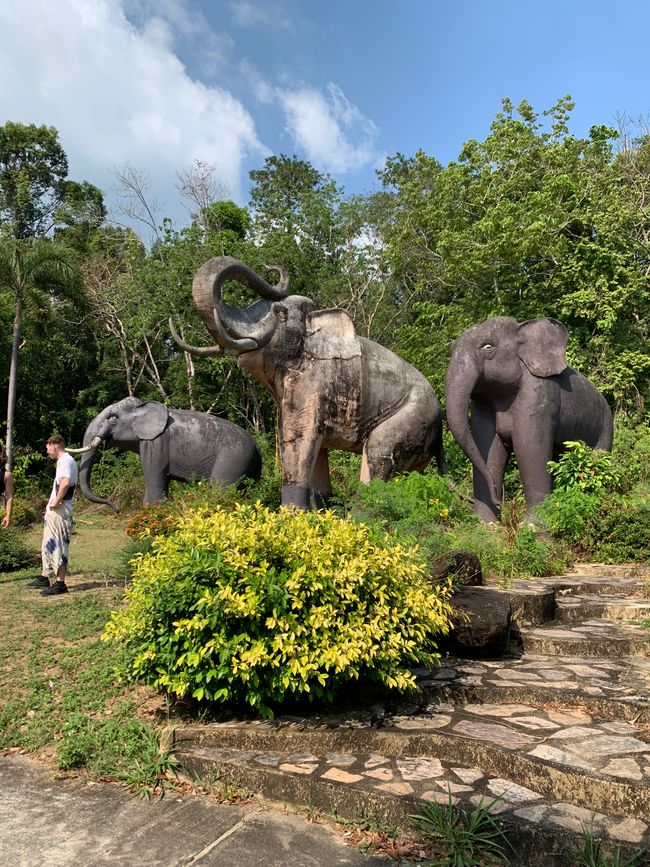 Elephant statues in the resort 