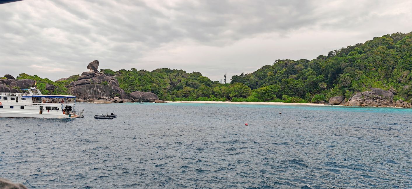 Eine Woche Tauchsafari mit der MV Bavaria 