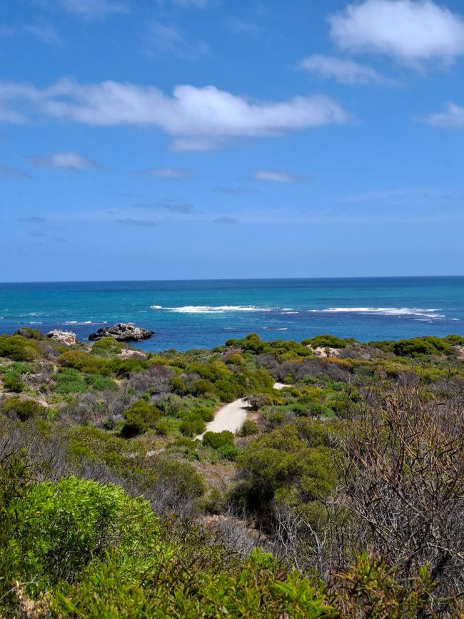 Cape Peron 