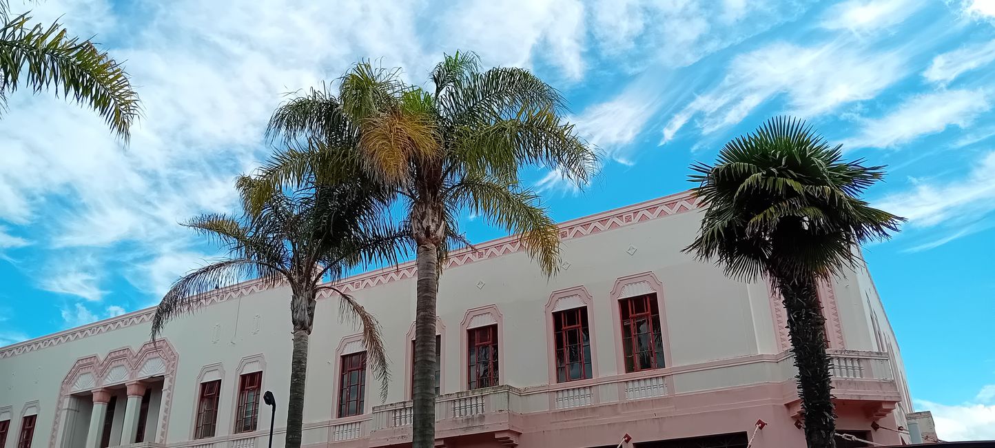 Napier