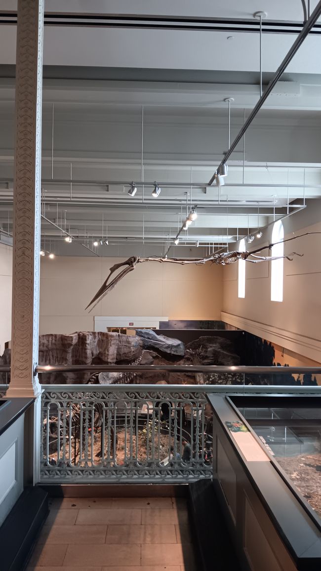 Museum of natural history I