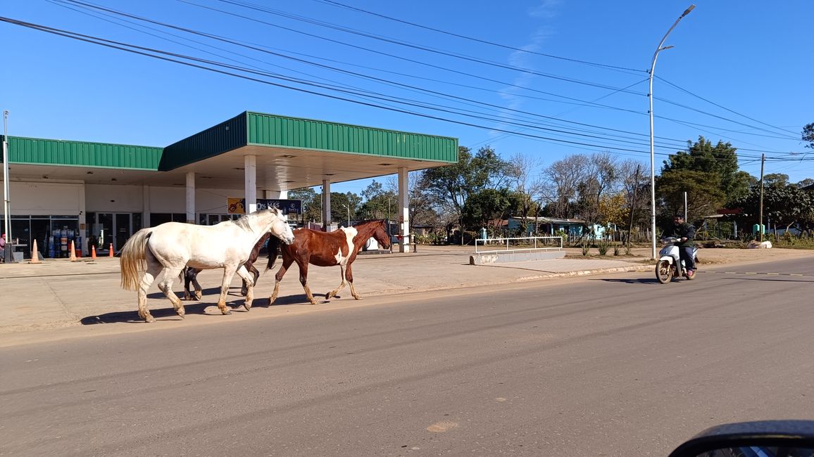 Paraguay_Caacupe_Aventura_Ranch (Juli 2025)