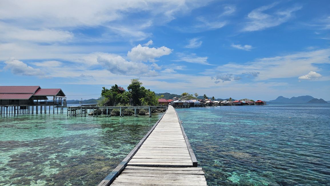 Isla Papan y el Lago de Medusas