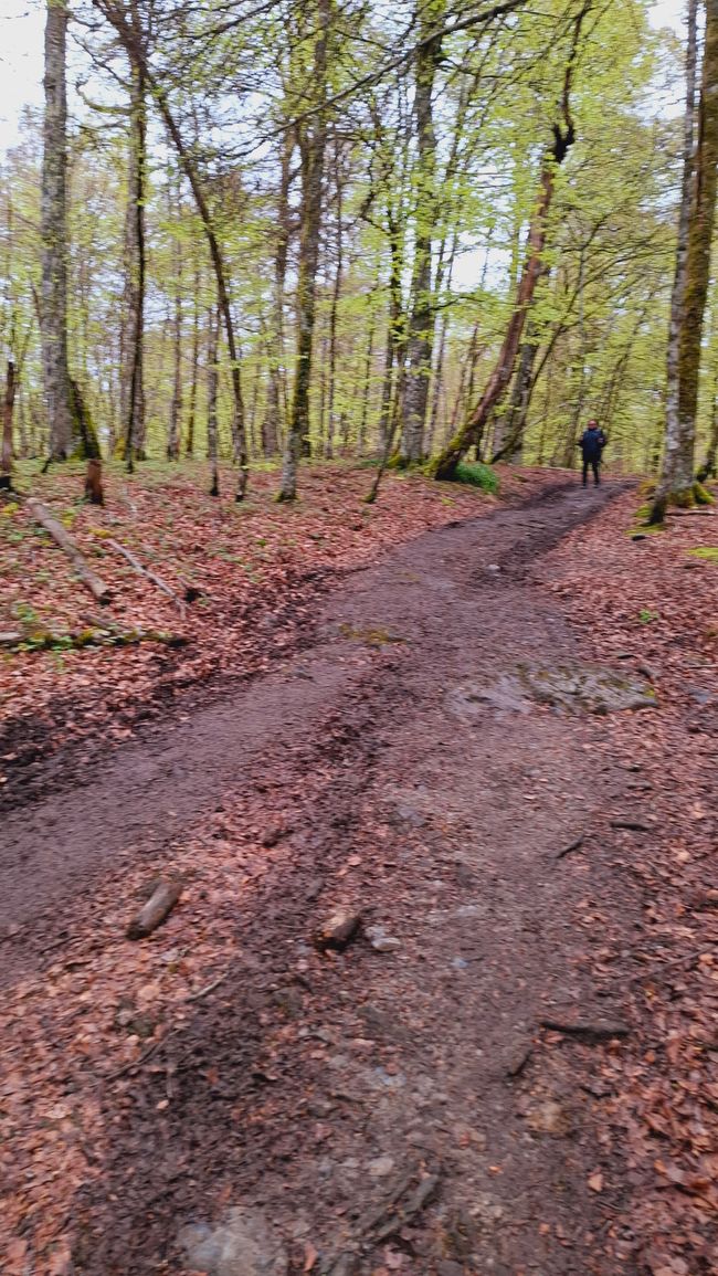 Et la descente encore plus rude!