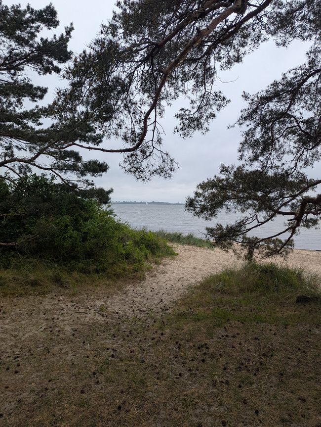 Greifswald- eine Stadt am Bodden