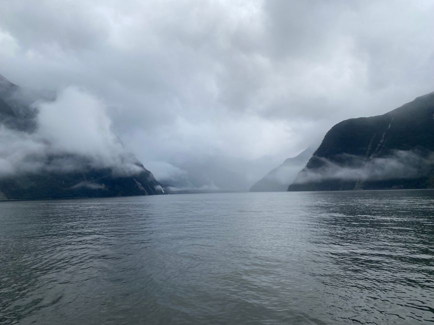 Road trip to Milford Sound