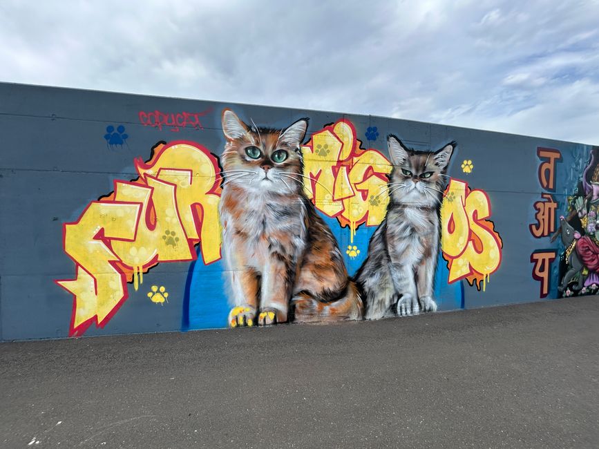 Tag 7: Middelburg- Schoten Teil 4 (Graffiti-Special 2)