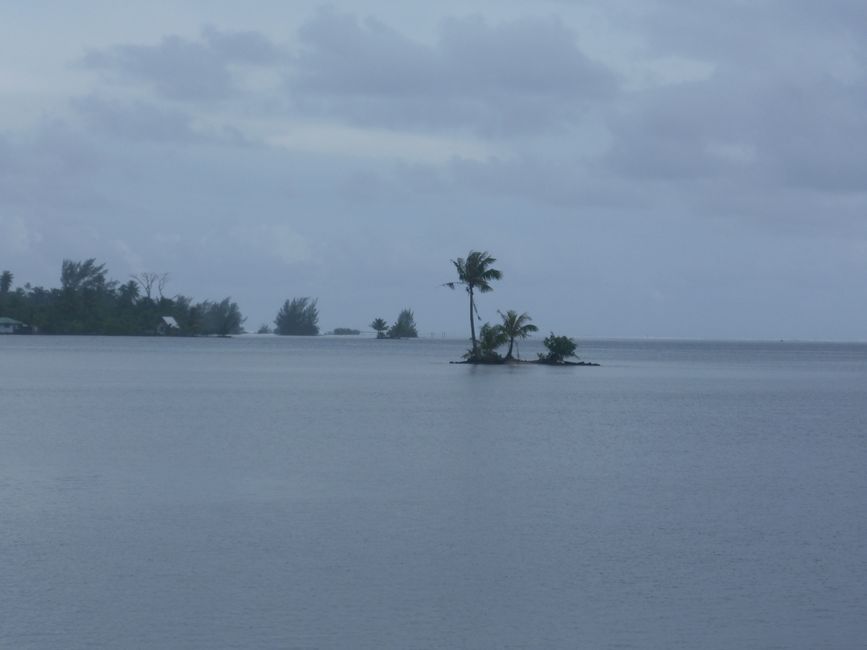 2025-04-30 Raiatea and Taha'a
