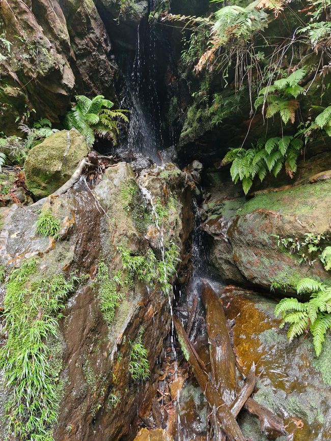Wasser