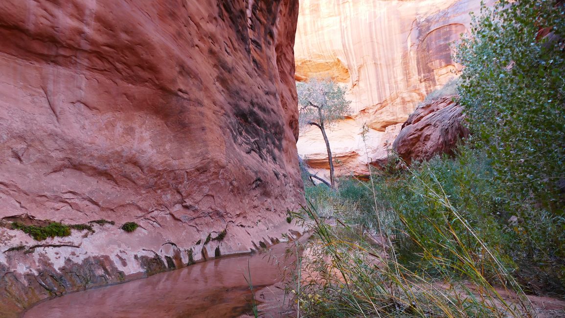 USA - Utah per fuggitivi ...